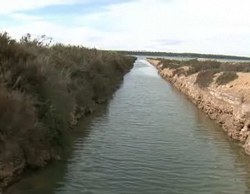 Día mundial de los humedales 2